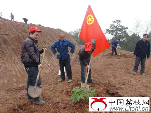 点击图片分享到上海滩微博