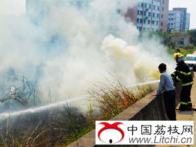 荔枝园突发大火 惠州2消防队奋力扑火保果园