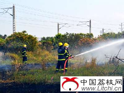 荔枝园突发大火 惠州2消防队奋力扑火保果园