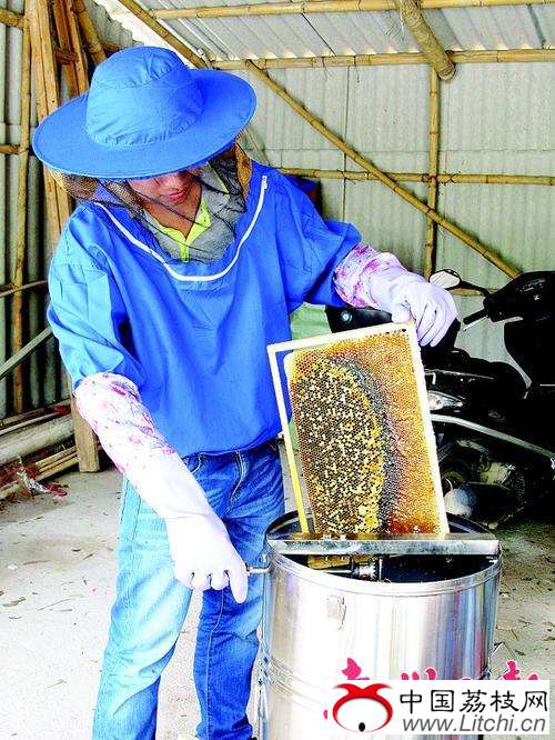 顾客现场摇蜜。
