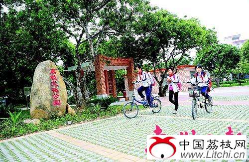 　孩子们骑自行车经过荔枝文化公园。