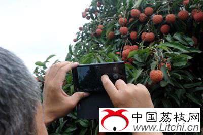 点击图片分享到上海滩微博