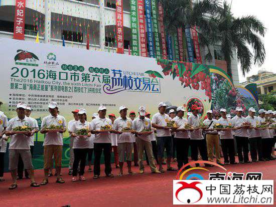 在开幕式现场，主办方还邀请了海口市荔枝生产企业、单位和种植大户，组织优质荔枝品种进行现场展示比拼。南海网记者周静泊摄