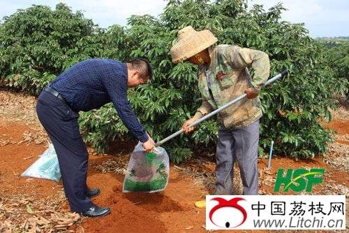 图为工作人员提取土壤样品时的情景。