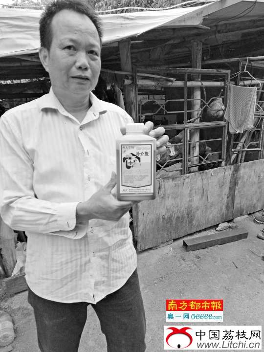 荔枝将上市 200亩&ldquo;妃子笑&rdquo;笑不出来