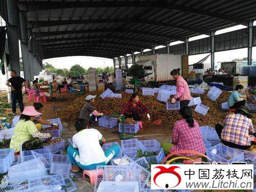 工人们在打包荔枝。